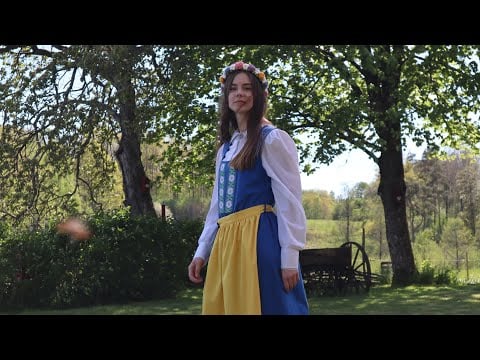 The Swedish National Dress